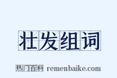 壮发组词是什么意思的图片